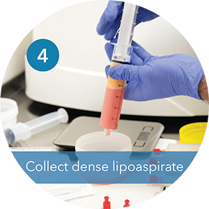 Step 4 Collect dense Lipoapirate